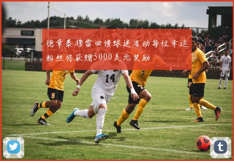 德章泰穆雷回馈球迷活动每位幸运粉丝将获赠5000美元奖励